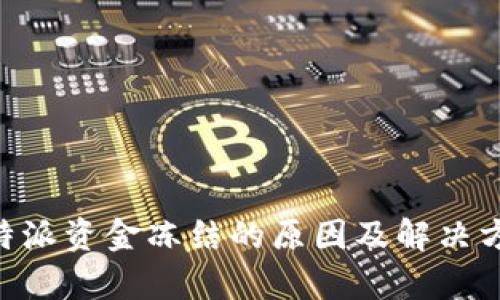 关于B特派资金冻结的原因及解决方法解析