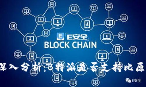 深入分析：B特派是否支持比原？