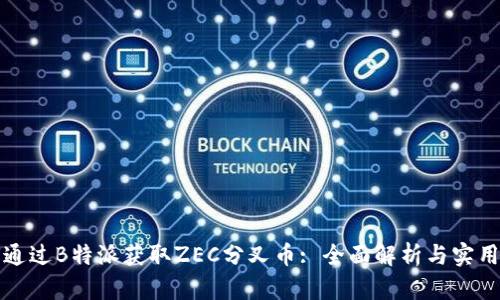如何通过B特派获取ZEC分叉币: 全面解析与实用指南