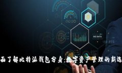 全面了解比特派钱包分身：数字资产管理的新选