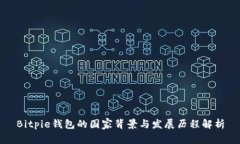 Bitpie钱包的国家背景与发展历程解析