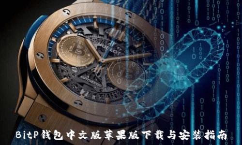   
BitP钱包中文版苹果版下载与安装指南