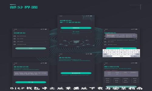   
BitP钱包中文版苹果版下载与安装指南