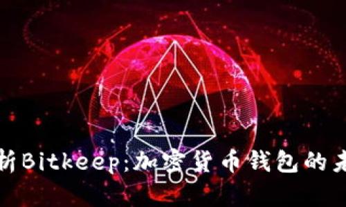 全面解析Bitkeep：加密货币钱包的未来之路