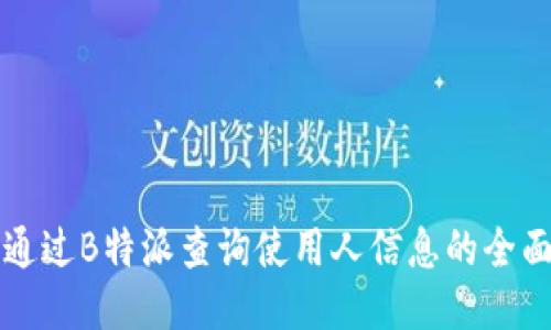 如何通过B特派查询使用人信息的全面指南